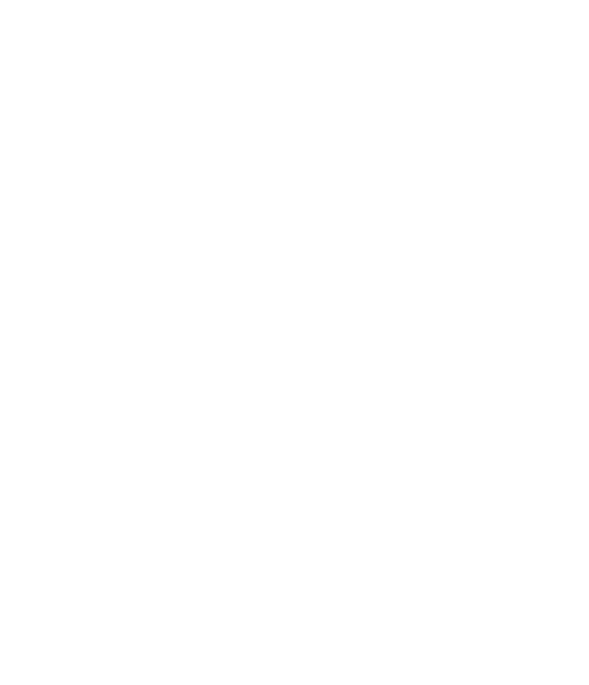 Over 30 years of experience